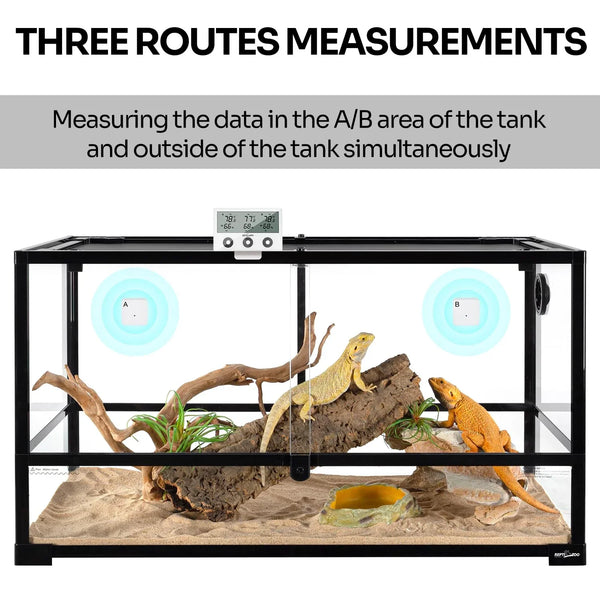Reptile terrarium with digital thermometer monitors, bearded dragons, driftwood, and sand.