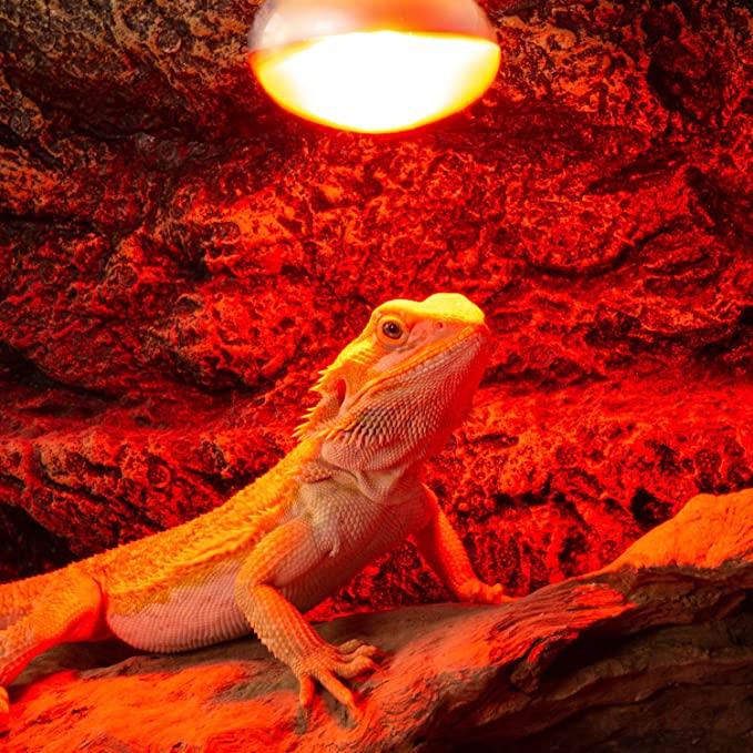 Bearded dragon basking under a heat lamp in a reptile terrarium with rocky background.