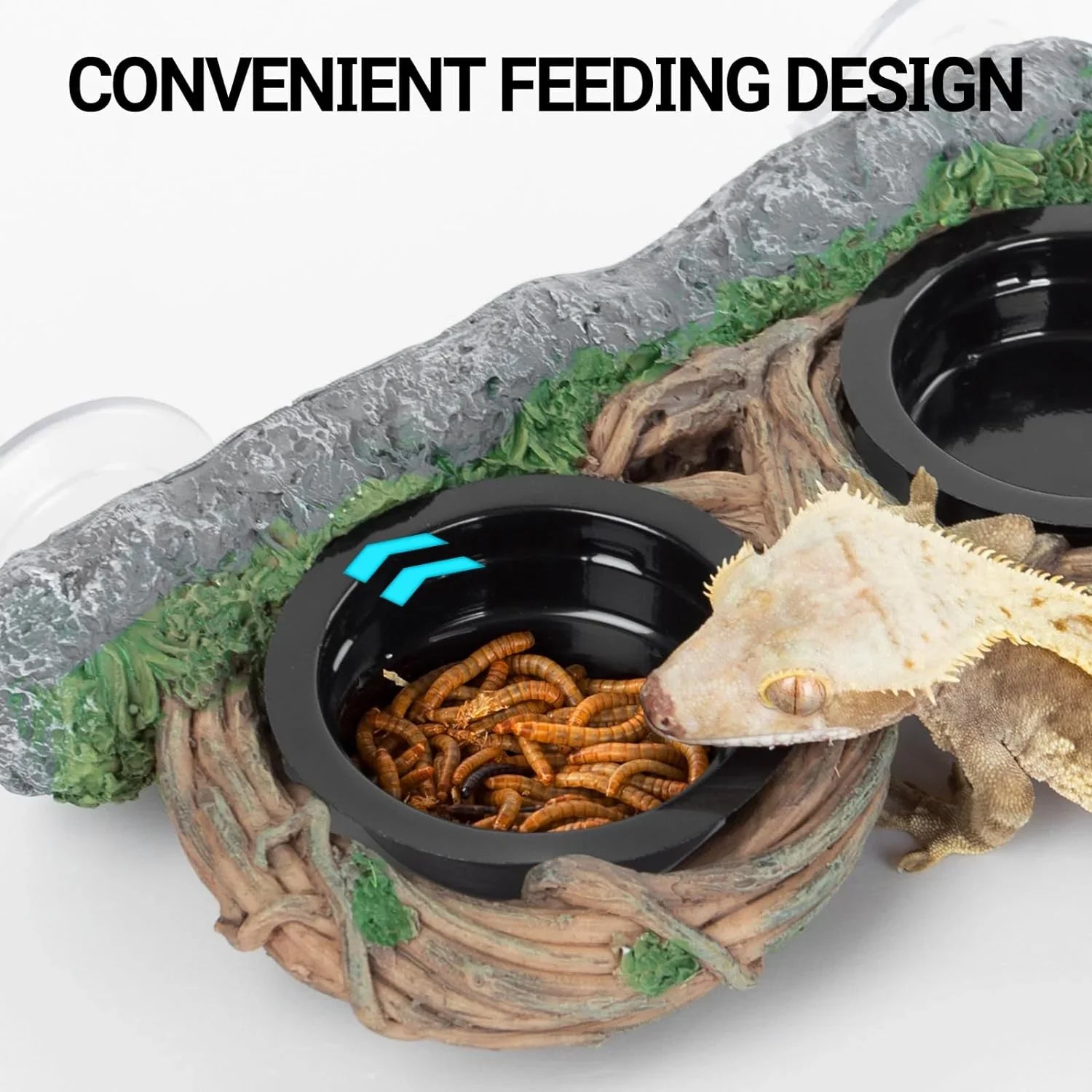 Gecko eating mealworms from a reptile food dish with suction cup attachment, terrarium accessory