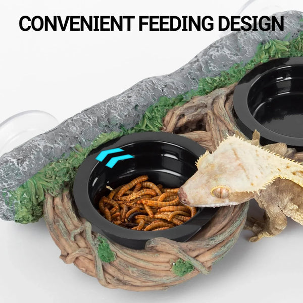 Gecko eating mealworms from a reptile food dish with suction cup attachment, terrarium accessory