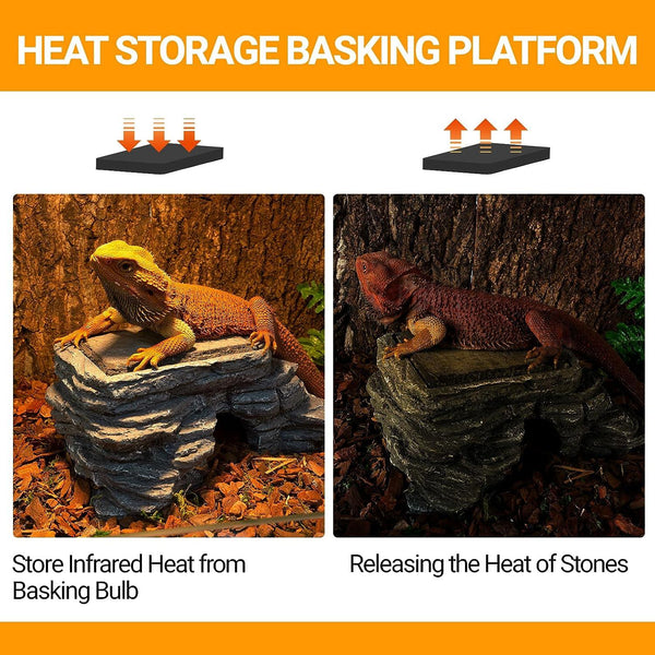 Bearded dragon lizard basking on a reptile heat storage basking platform in terrarium