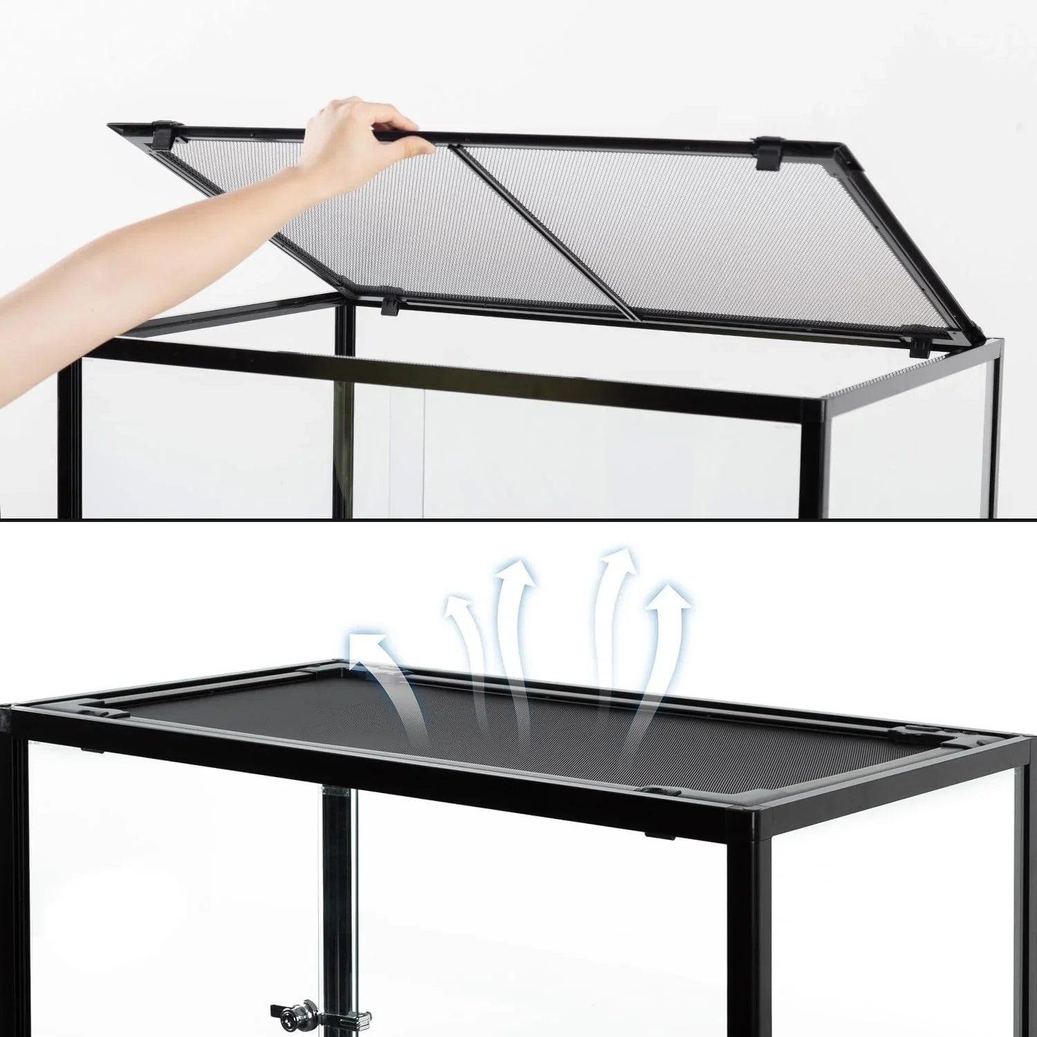 Mesh screen top on reptile terrarium, easy-open lid and ventilated design for airflow