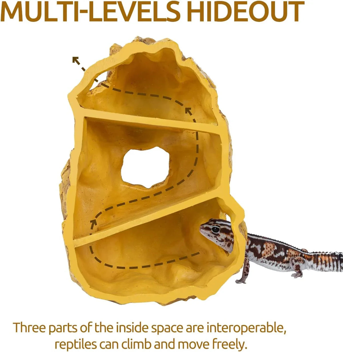 Multi-level reptile hideout cave with gecko, natural terrarium decor for climbing and shelter