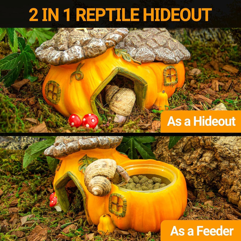 2-in-1 pumpkin-shaped reptile hideout and feeder for terrariums, natural decor setting