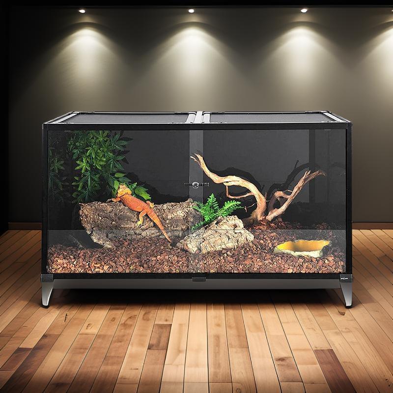 Large glass reptile terrarium with branches, rocks, plants, and a bearded dragon inside Main image