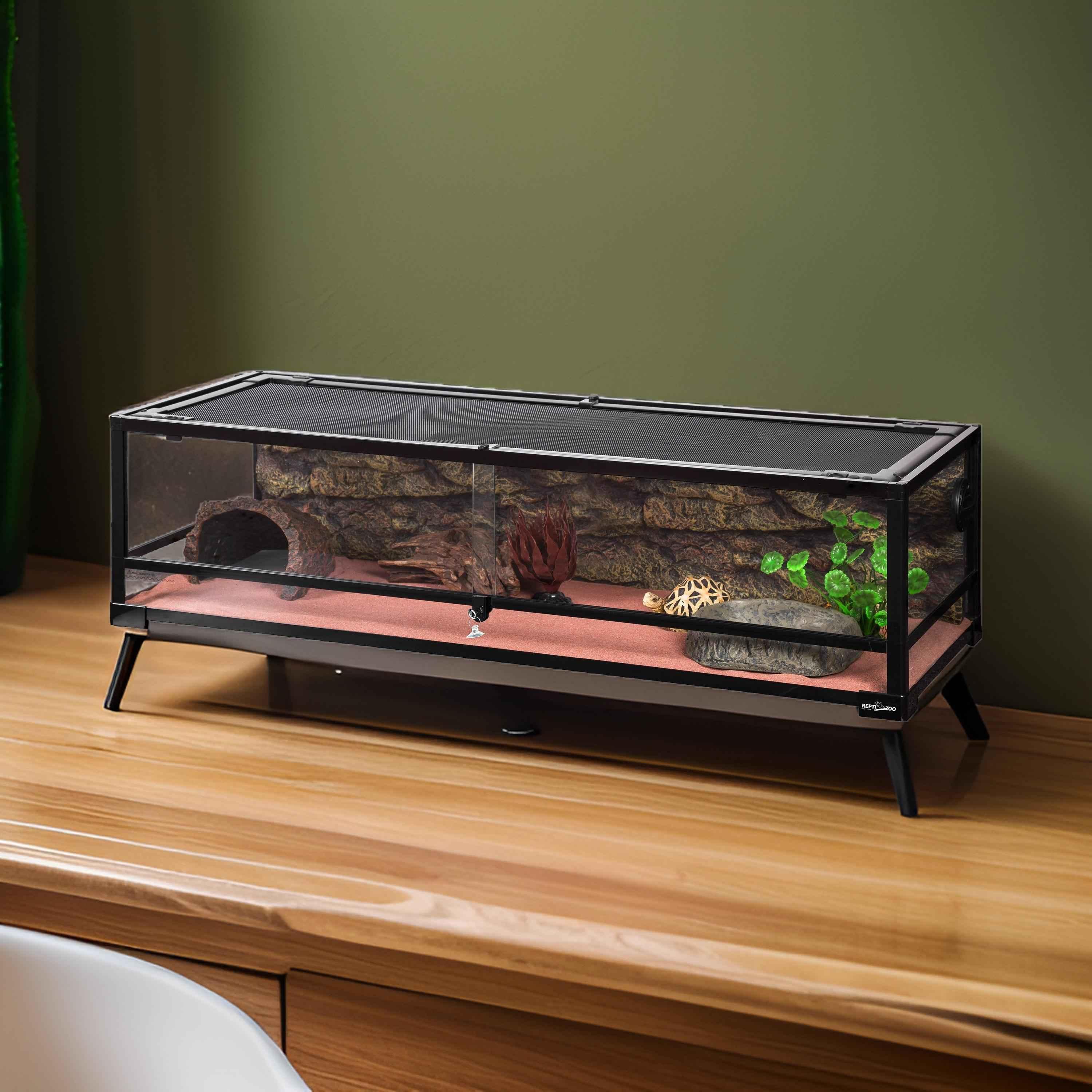 50-gallon glass reptile terrarium with screen top, decor, and natural background on a wood surface