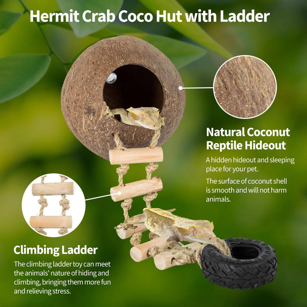 Coconut shell reptile hideout with wooden climbing ladder and gecko, ideal for terrariums.