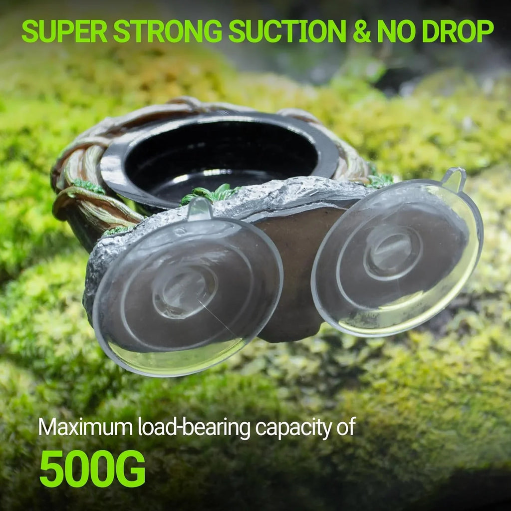 Strong suction reptile terrarium bowl with suction cups, holds up to 500g, moss background