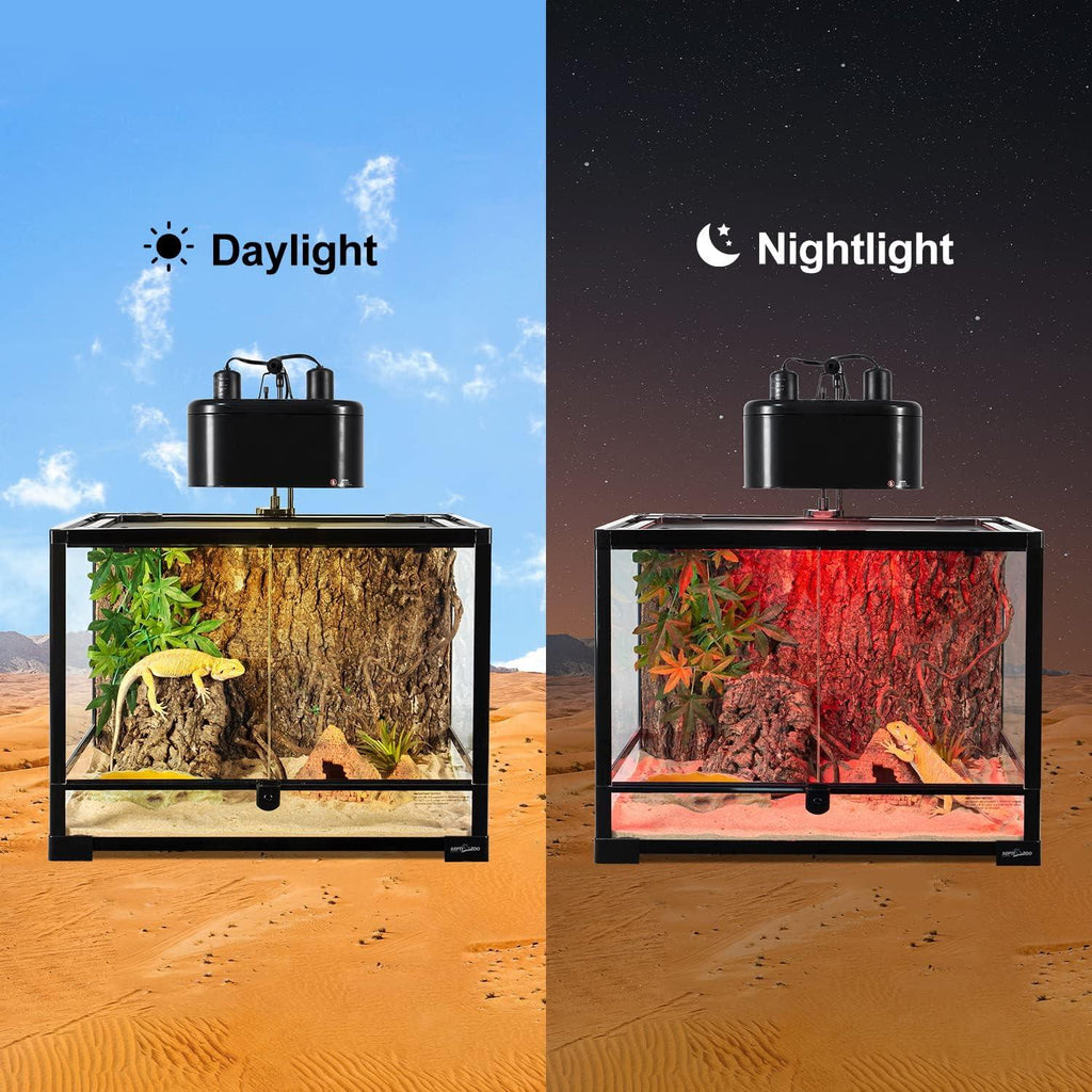 Reptile terrarium with UVB heat lamp, showing daylight and nightlight settings for lizard habitat
