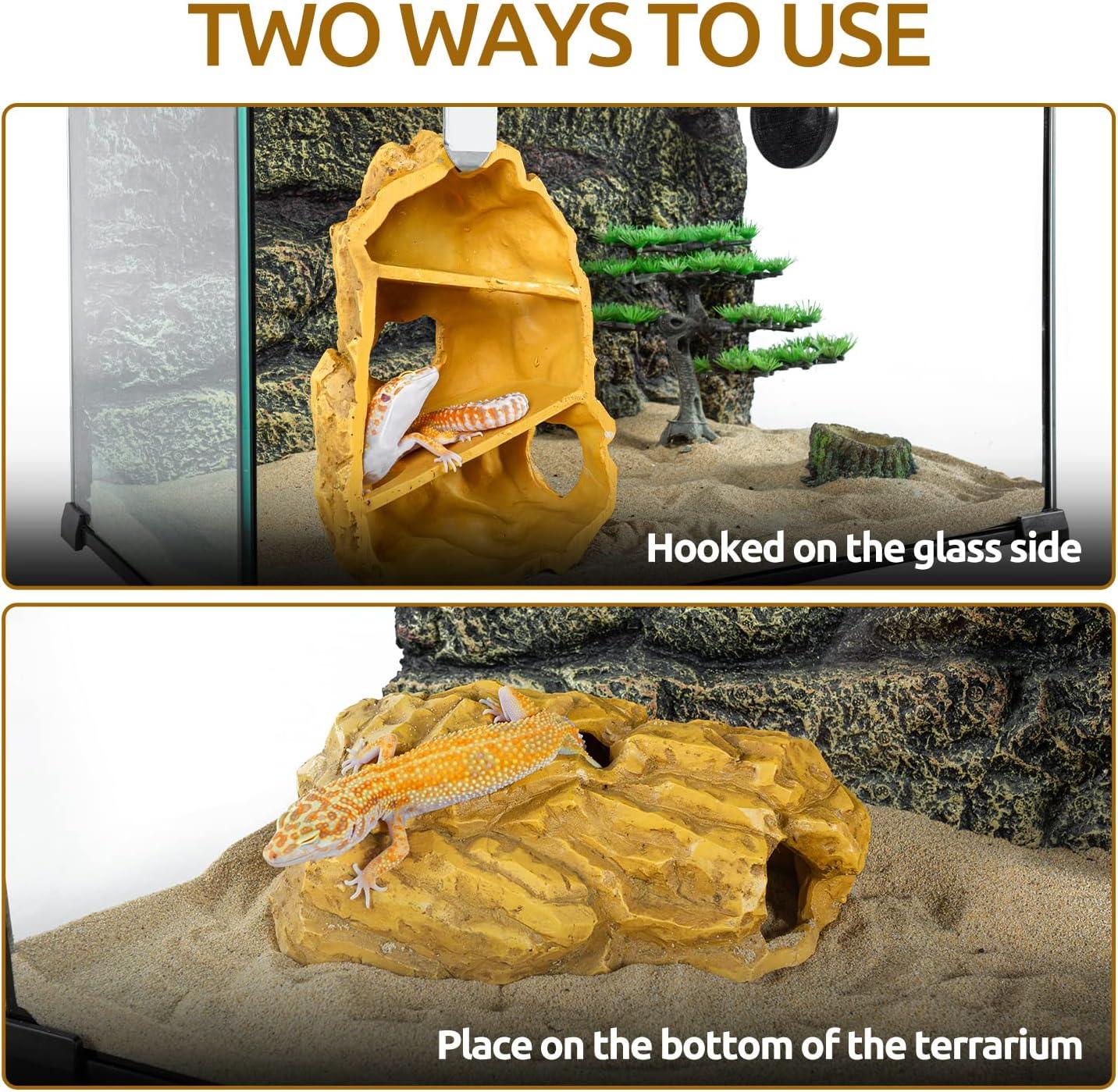 Reptile hideout decor displayed hooked on glass and placed on terrarium floor with geckos