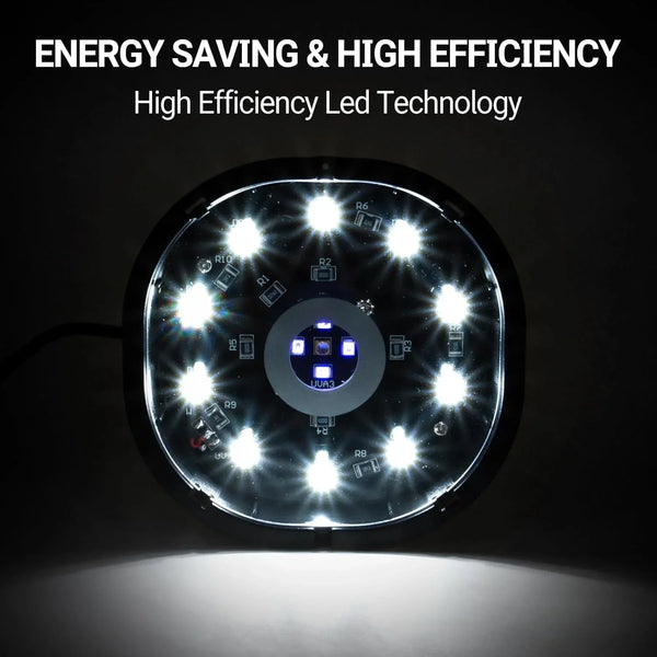 Energy saving high-efficiency LED light for reptile terrarium, circular design, illuminated