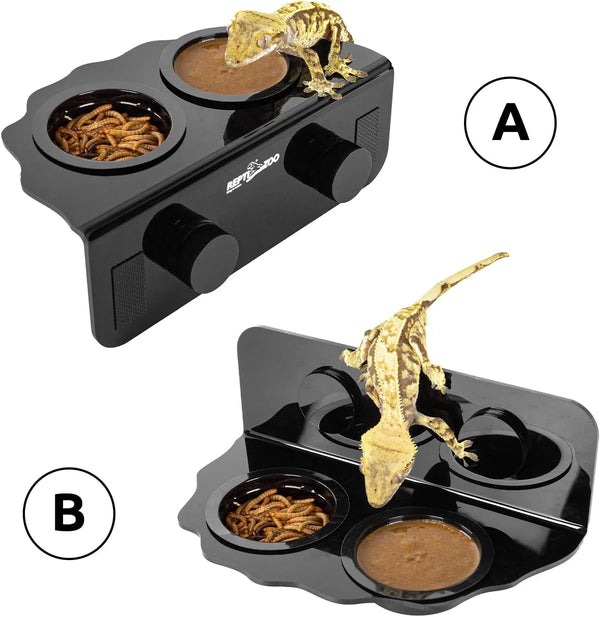 Black reptile feeding dish with gecko, mealworms, and food, two setup options shown.