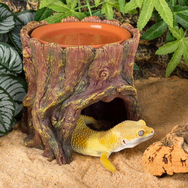 Leopard gecko in reptile terrarium with naturalistic log hide and water dish