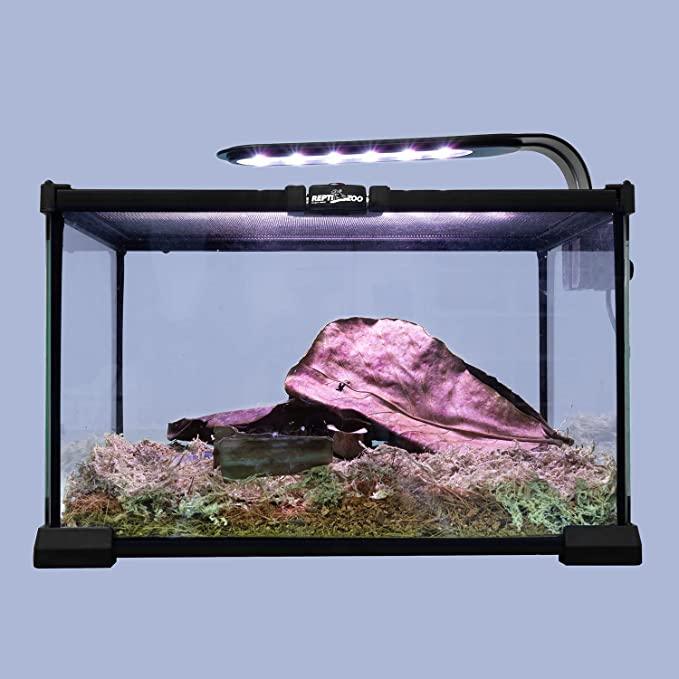 Glass reptile terrarium with LED light, moss substrate, and a decorative hiding rock