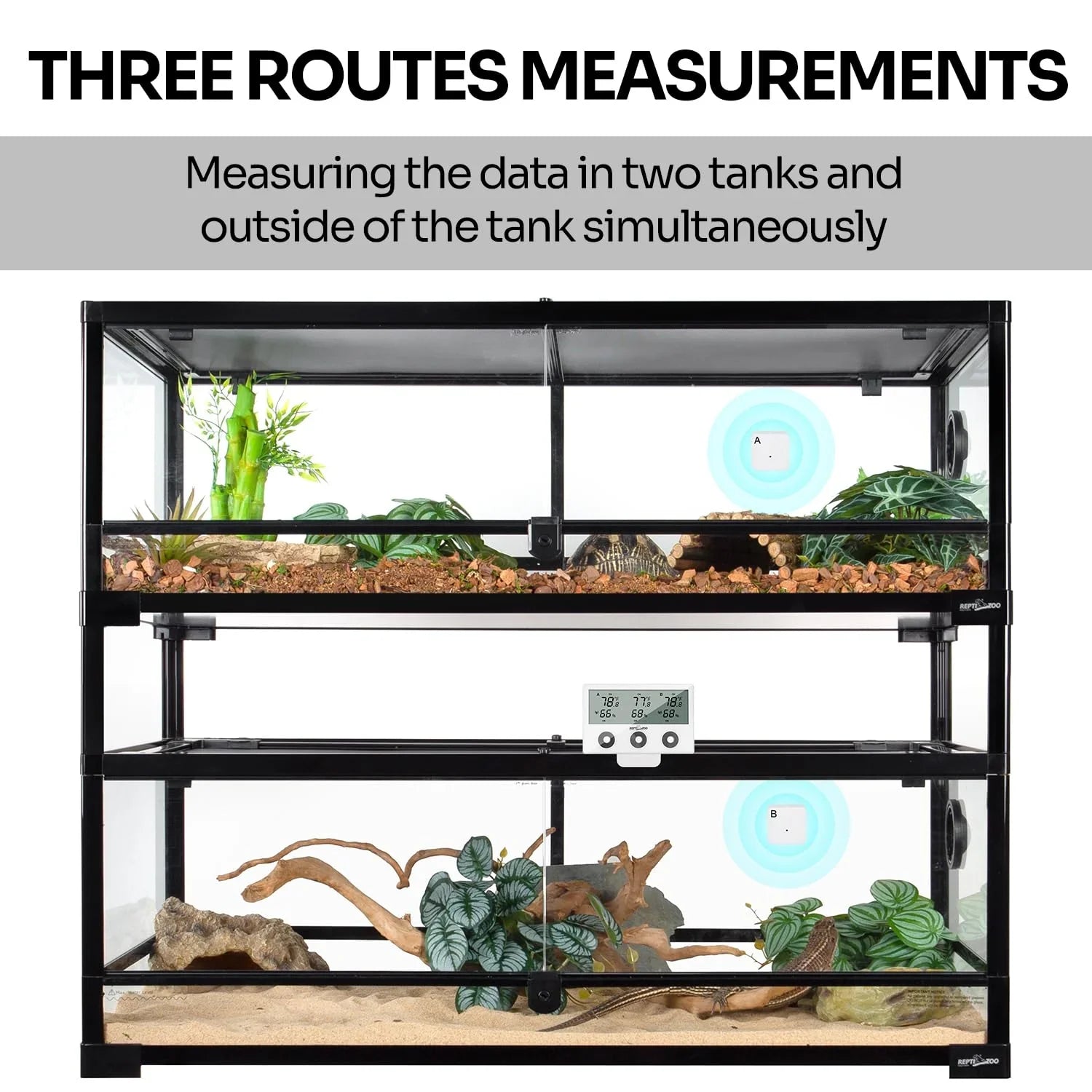 Digital thermometer measuring temperature and humidity in two reptile terrariums