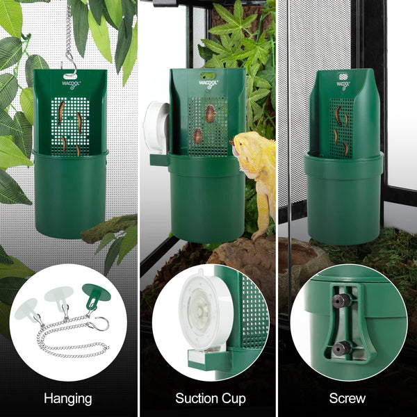 Green reptile feeder with three mounting options: hanging, suction cup, and screw, in terrarium.