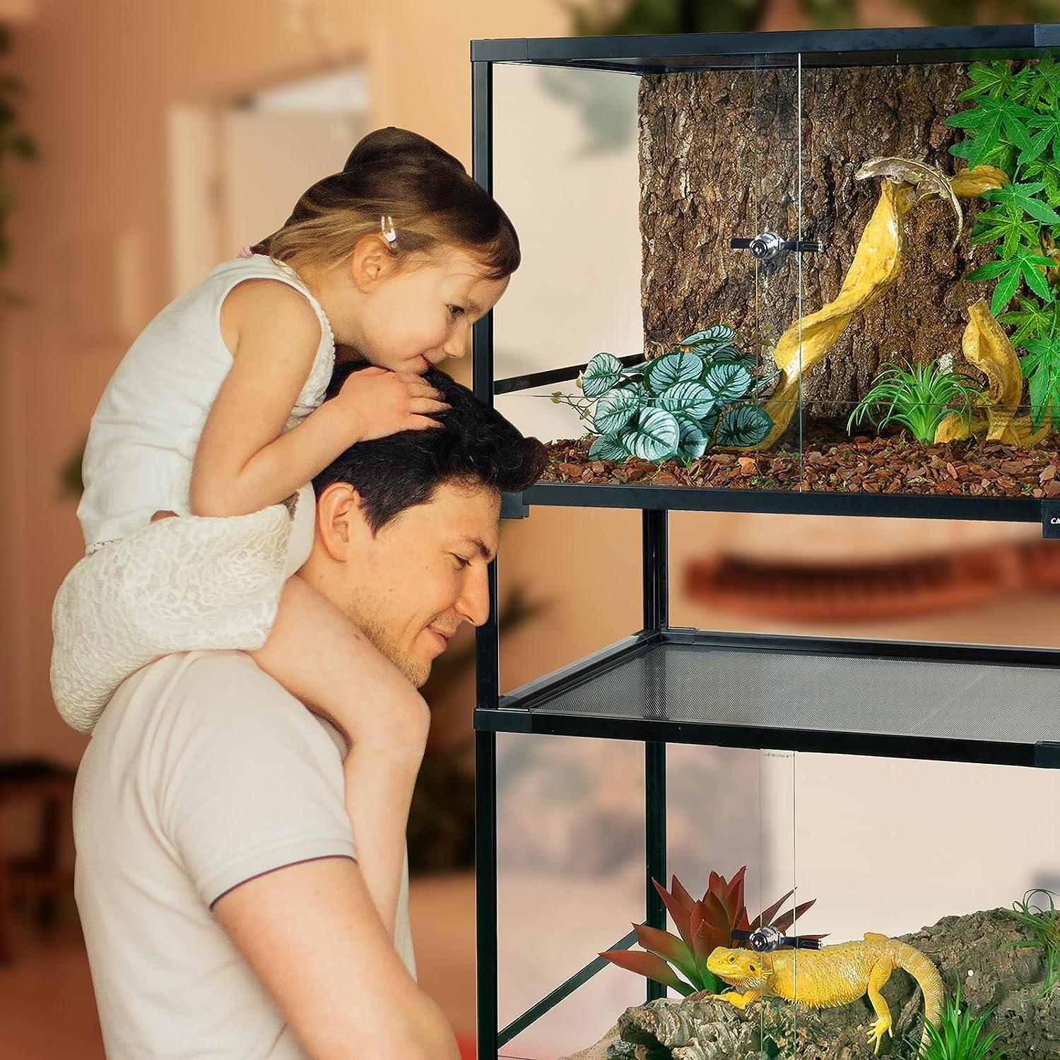Father and daughter observing reptiles in a glass terrarium with plants and branches