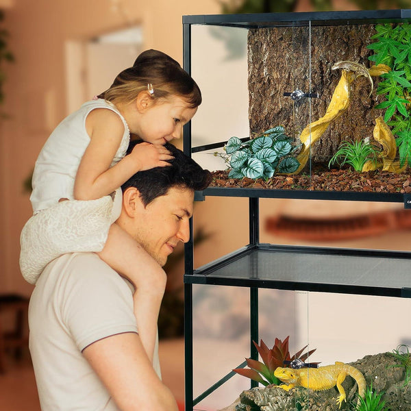 Father and daughter observing reptiles in a glass terrarium with plants and branches