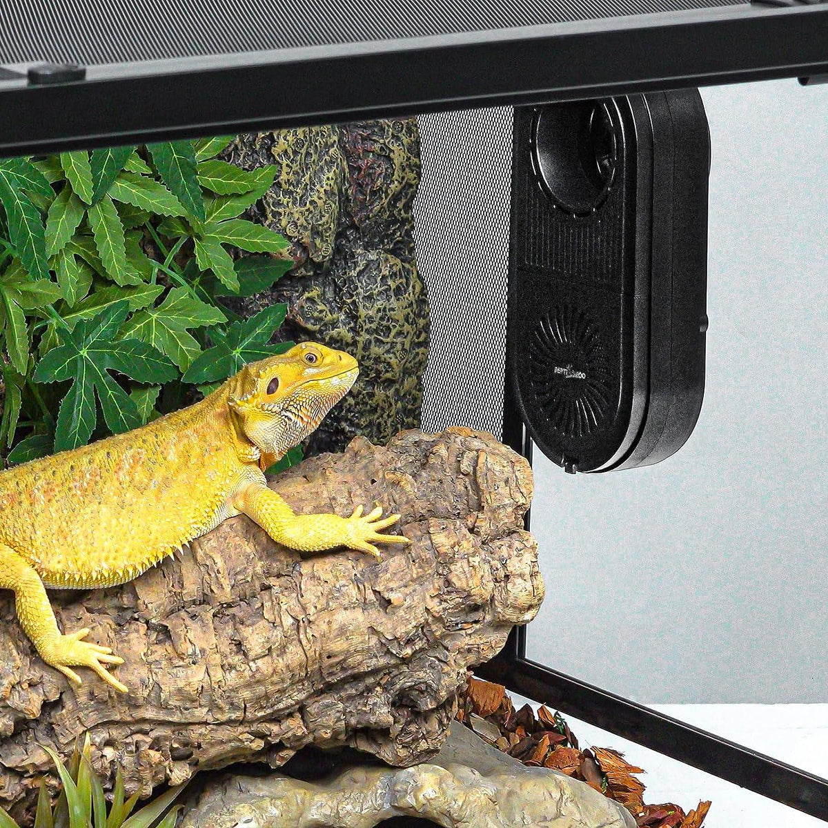 Bearded dragon basking on log inside reptile terrarium with heat lamp and artificial plants
