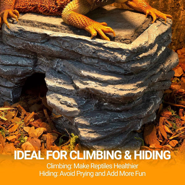 Bearded dragon on reptile cave hideout for climbing and hiding in terrarium enclosure