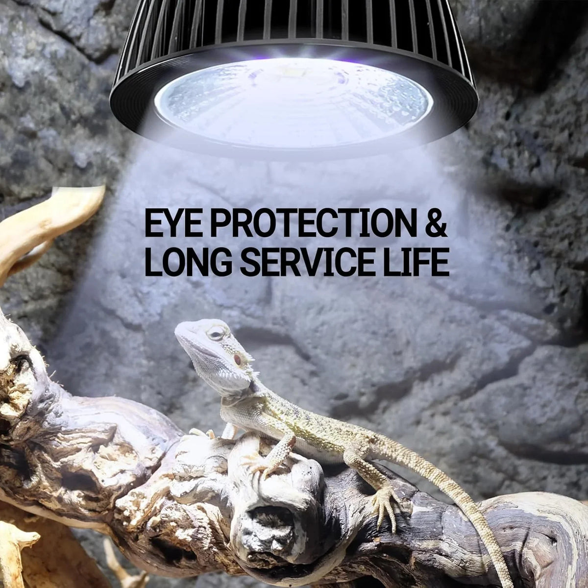 Reptile basking under UVB heat lamp in terrarium with text eye protection and long service life
