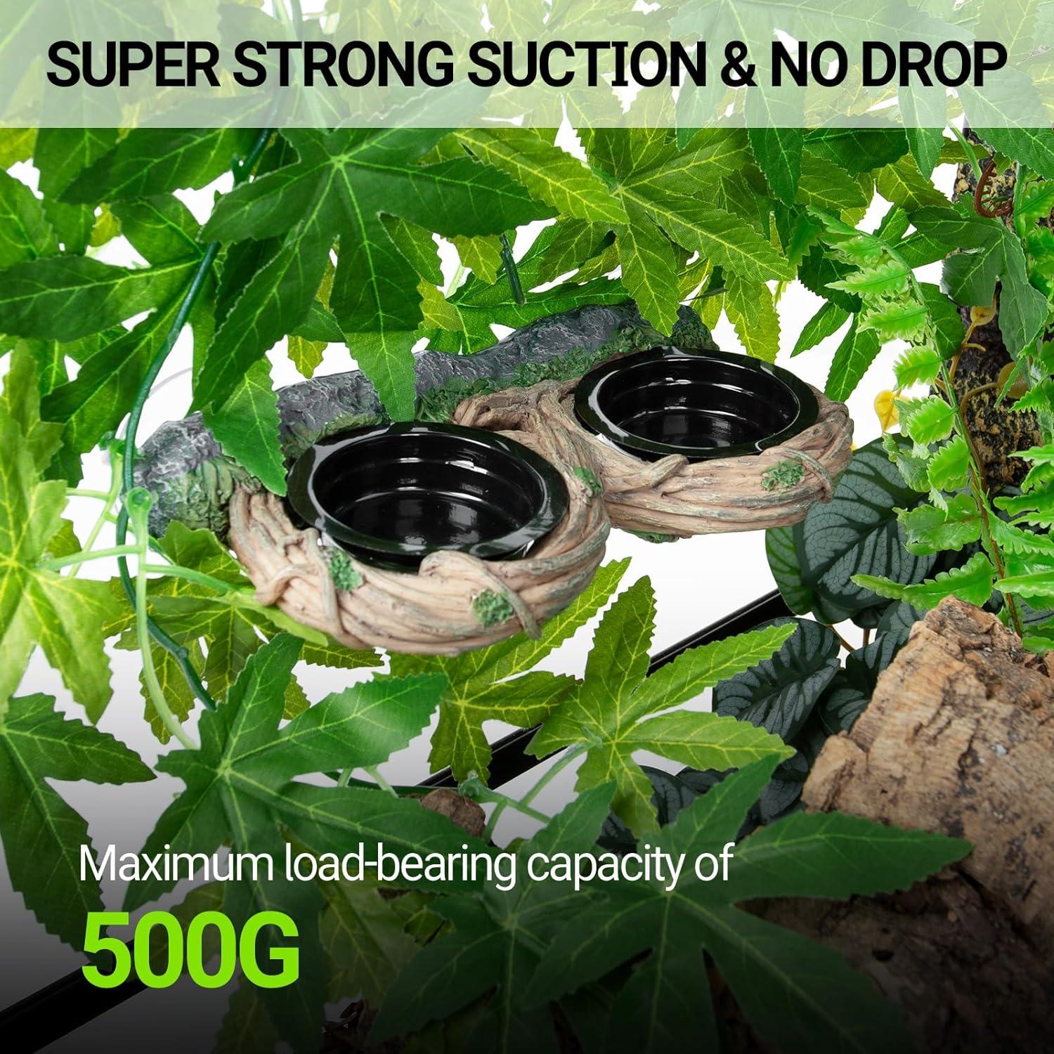 Reptile terrarium feeding bowls with strong suction cups, surrounded by green leaves, holds up to 500g