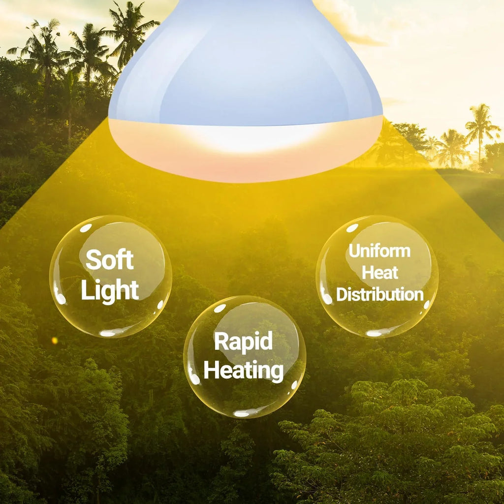 Reptile heat lamp above forest with labels soft light, rapid heating, uniform heat distribution