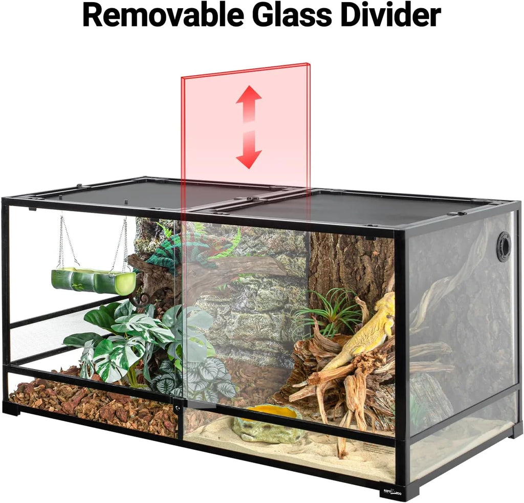 Glass reptile terrarium with removable divider, plants, driftwood, and bearded dragon.