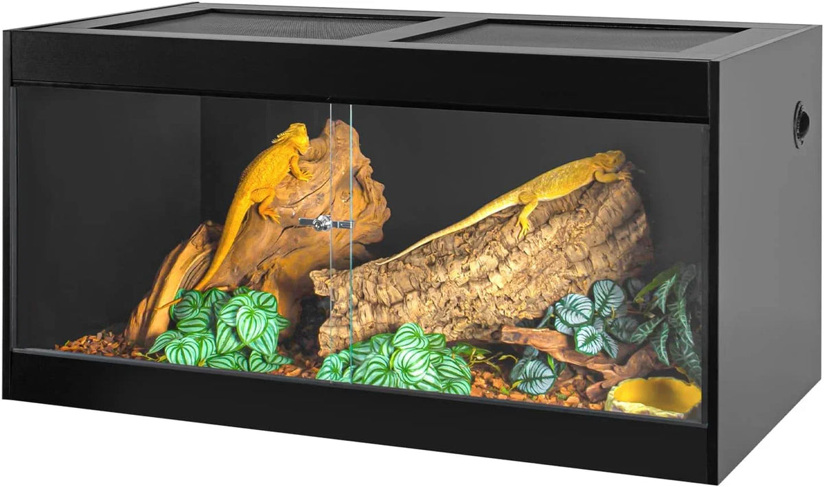 Large glass reptile terrarium with two lizards, logs, and artificial plants inside. Main image