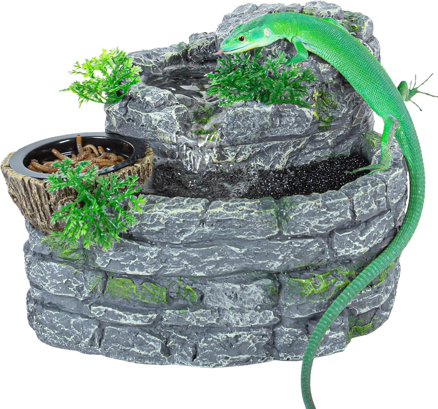 Green lizard on stone reptile terrarium with water feature, plants, and mealworm dish Main image