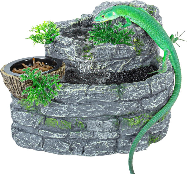 Green lizard on stone reptile terrarium with water feature, plants, and mealworm dish