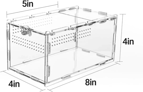 Clear acrylic reptile terrarium with ventilation holes and lock, measuring 8x5x4 inches.