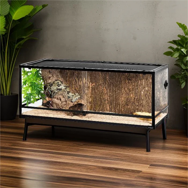 Large glass reptile terrarium with naturalistic background and sand substrate on wood floor