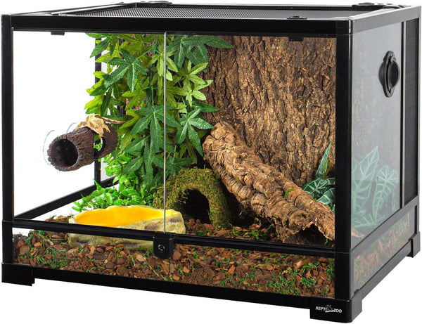 Glass reptile terrarium with naturalistic decor, cork log, plants, and water dish