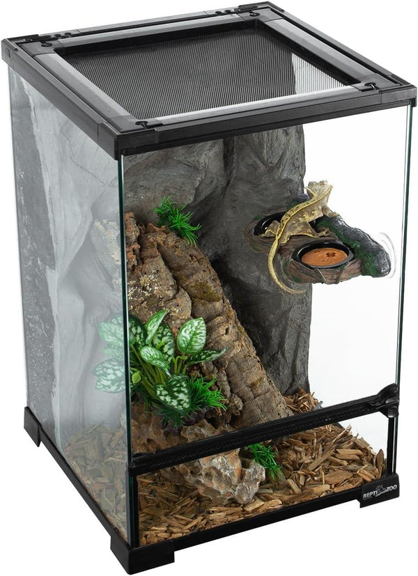 Glass reptile terrarium with ventilation mesh, log, plants, and lizard basking on ledge