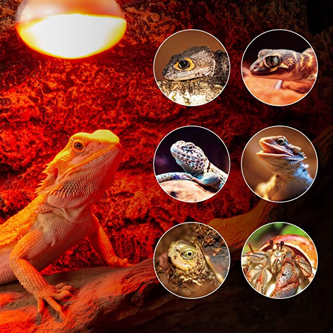 REPTI ZOO 25W Nano Reptile Infrared Heating Lamp 2 Pack for Small Geckos,Turtle,Bearded Dragon,Lizard,Tarantulas
