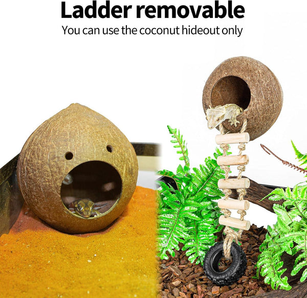 Coconut reptile hideout with removable ladder, ideal for terrariums and gecko habitats