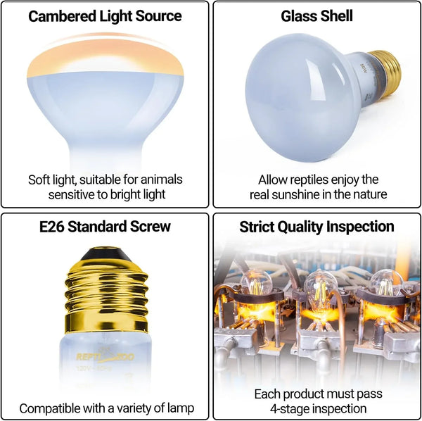 Reptile heat lamp bulb features cambered light source, E26 screw base, glass shell, quality inspection.