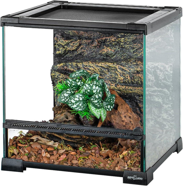 Glass reptile terrarium with mesh top, rocky background, and decorative plants inside.