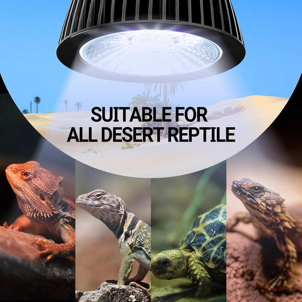 UVB heat lamp for desert reptiles with bearded dragon, iguana, tortoise, and lizard