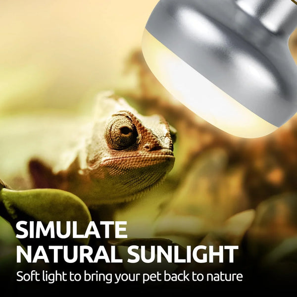 Chameleon under reptile heat lamp simulating natural sunlight in terrarium environment
