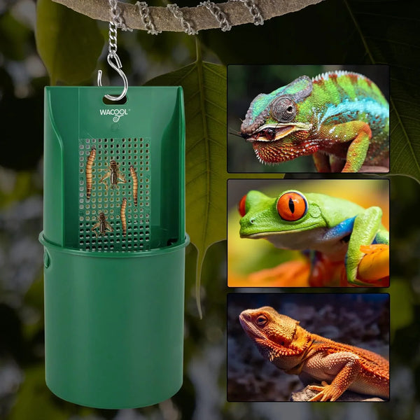 Green reptile feeder hanging on branch with images of chameleon, frog, and lizard