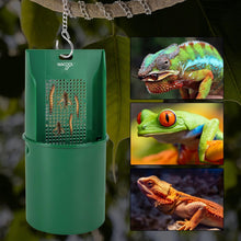 Load image into Gallery viewer, WACOOL Hanging Reptile Feeding Bowl with Grid Plate for Bugs Climbing &amp; Move, Arboreal Reptile Climbing Feeder Bowl for Feeding Chameleon, Lizard, Iguana, Gecko, Frog