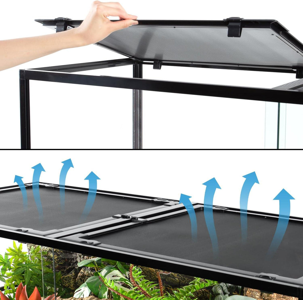 Hand opening mesh screen lid on reptile terrarium for ventilation and easy access