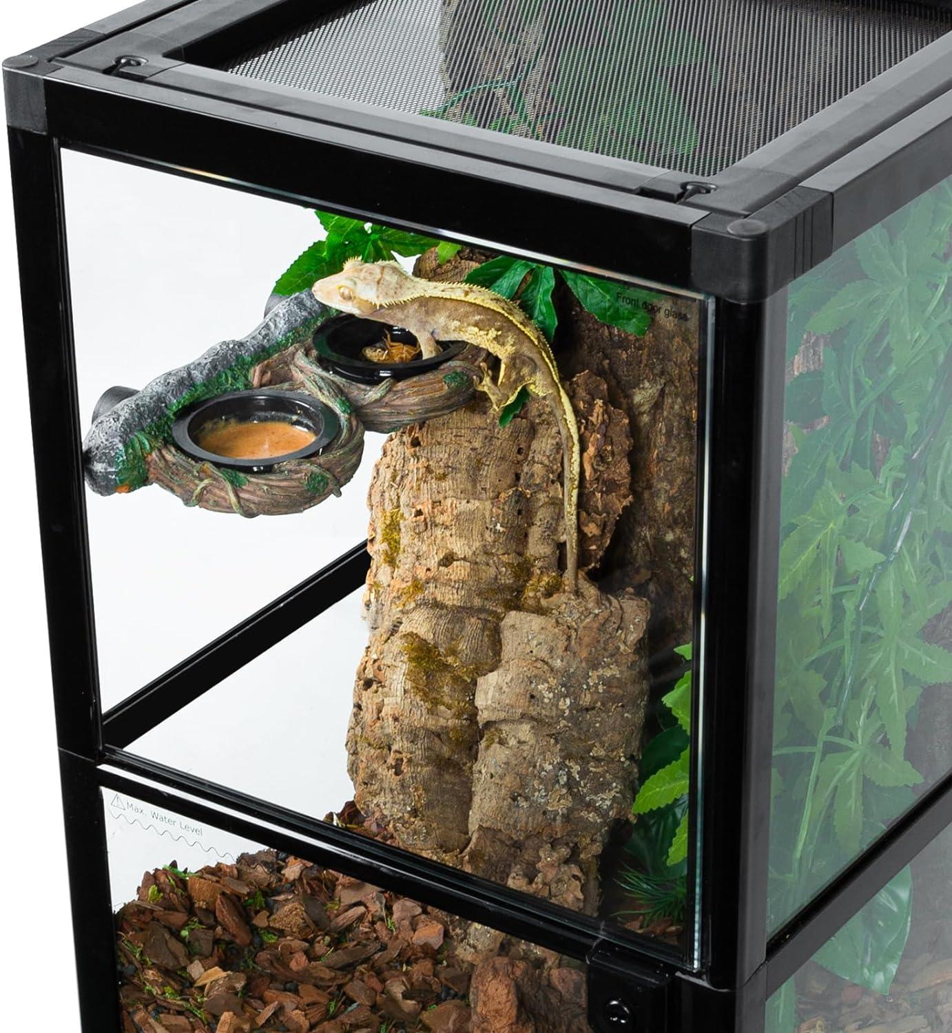 Glass reptile terrarium with crested gecko, cork bark, and dual feeding dish setup.