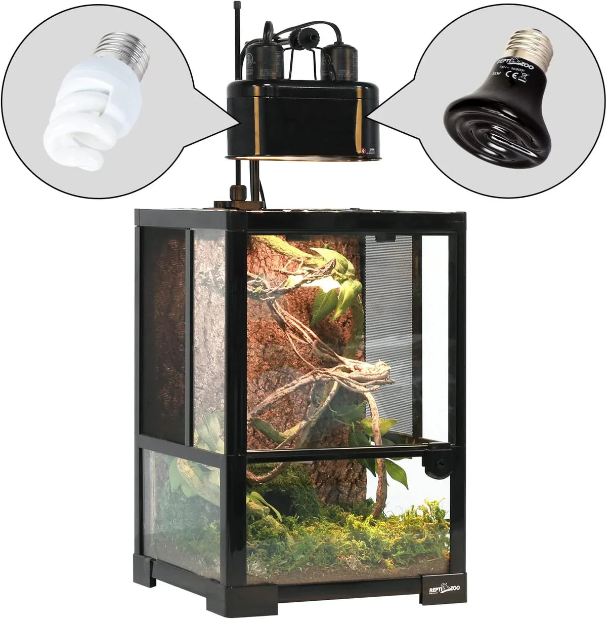 Glass reptile terrarium with UVB and heat lamp bulbs, featuring naturalistic decor.