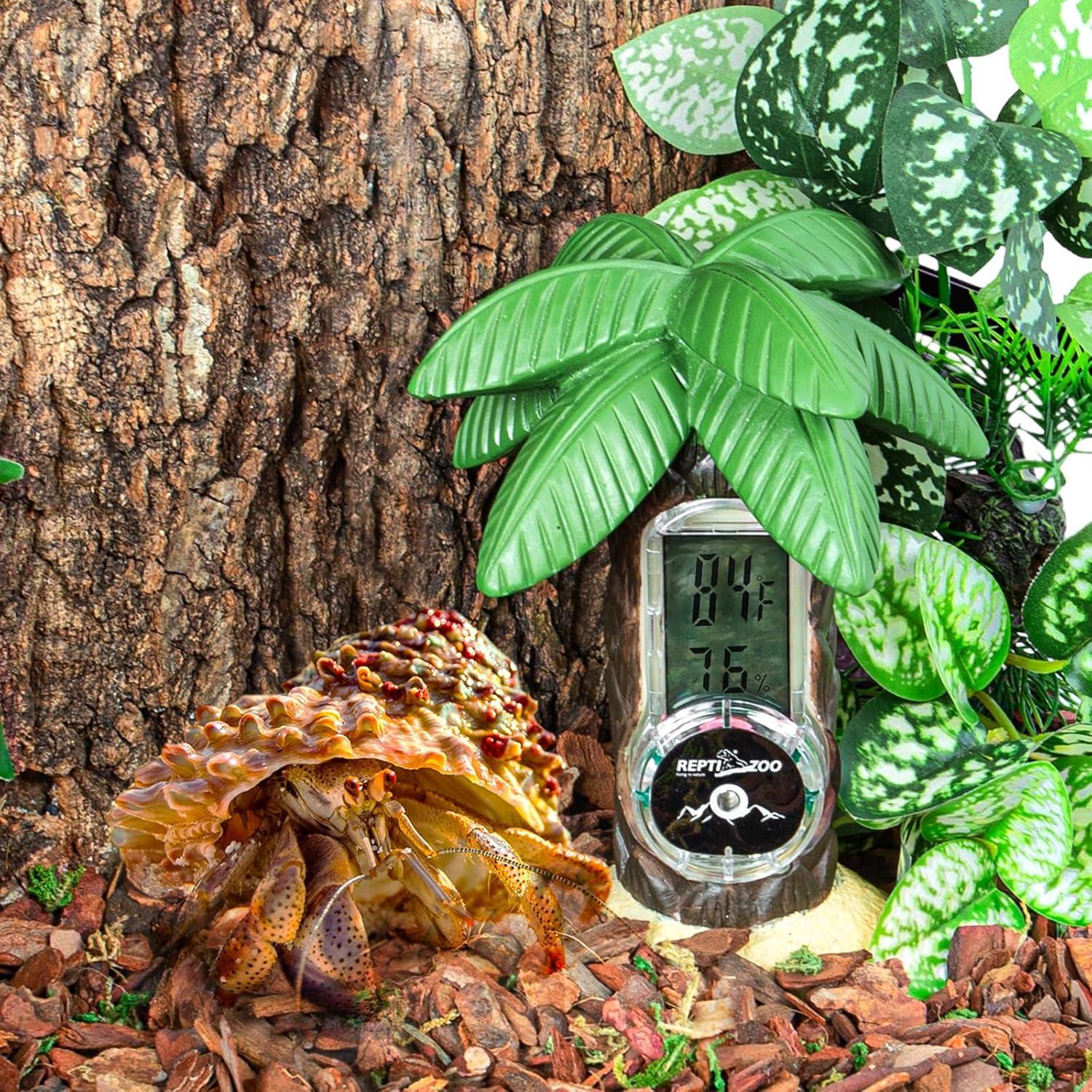 Hermit crab in reptile terrarium with digital thermometer, humidity gauge, and fake plants