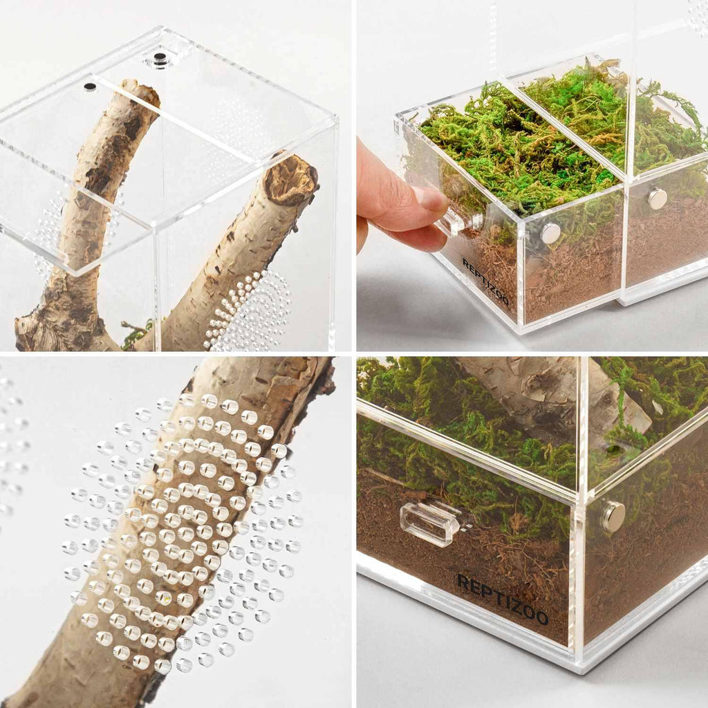 Acrylic reptile terrarium box with ventilation holes, moss, soil, and branch for habitat setup.
