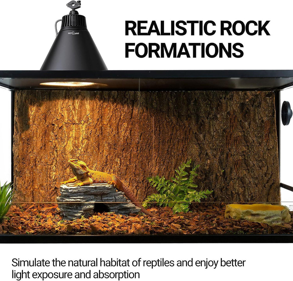 Reptile terrarium with realistic rock formations, UVB heat lamp, bearded dragon, and plants