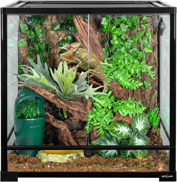 Glass reptile terrarium with a chameleon, artificial plants, branches, and jungle décor